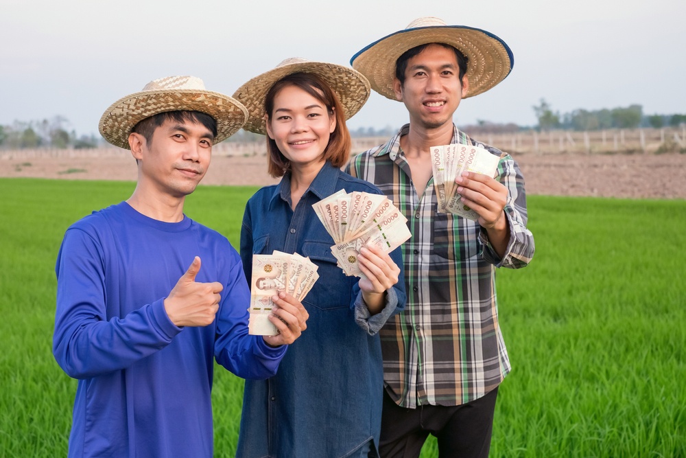 how-to-check-rice-price-guarantee-money