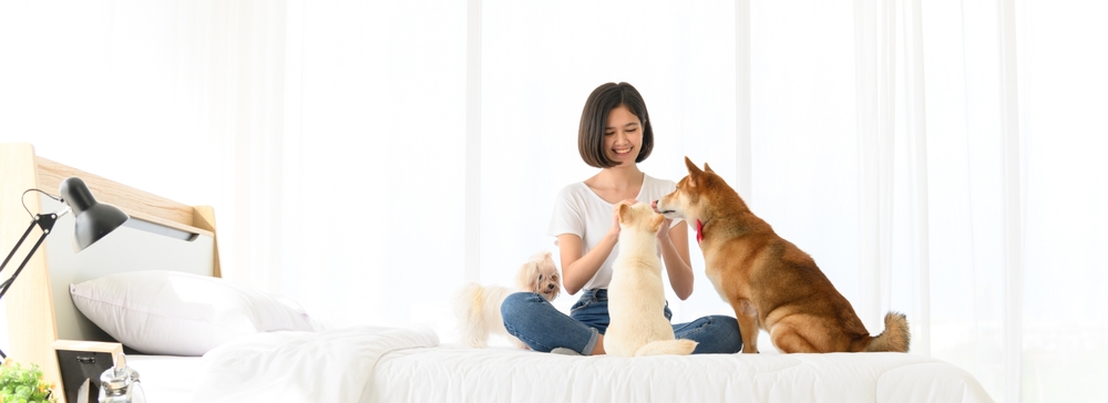 new-regulations-for-pets-keeping-in-bangkok