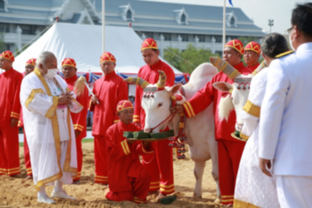 royal-ploughing-ceremony